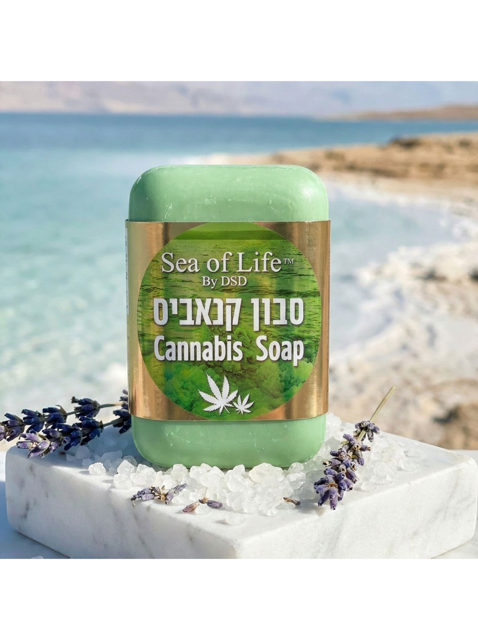 סבון קנאביס - Sea of Life ים המלח